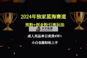 2024年独家代理瀚海跑道粉丝 自主创业粉引流方法游戏玩法，两性用品单日卖东西4W 家庭保姆实例教程-天天有课网