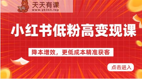 小红书的低筋粉高转现课-降低成本，更低成本营销获客，小红书的必出平台流量登陆密码-天天有课网