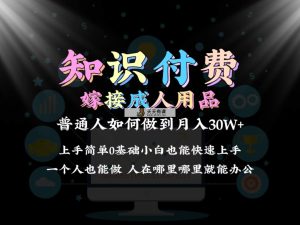2024平常人做社交电商融合两性用品如何做到单月转现30w 家庭保姆课堂教学1.0-天天有课网