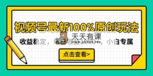 微信视频号全新100%原创设计游戏玩法，收益稳定，单日盈利1000 ，新手专享-天天有课网