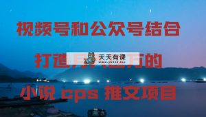微信视频号和公众号融合打造出月入上万的小说集cps文章新项目-天天有课网
