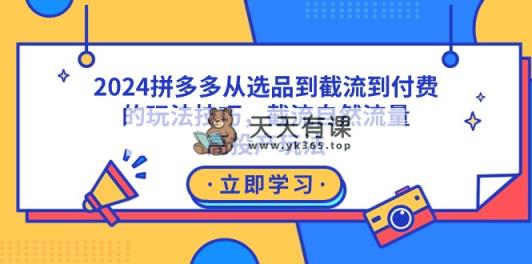 2024拼多多从选品到截流到付费的玩法技巧，截流自然流量玩法，高投产玩法-天天有课网