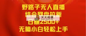 无人直播歪门邪道融合百度云盘引流，日赚2500 全平台转现，新手没脑子快速上手实际操作-天天有课网