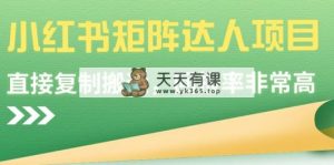 小红书的引流矩阵大咖新项目，直接复制运送，收益率非常高-天天有课网