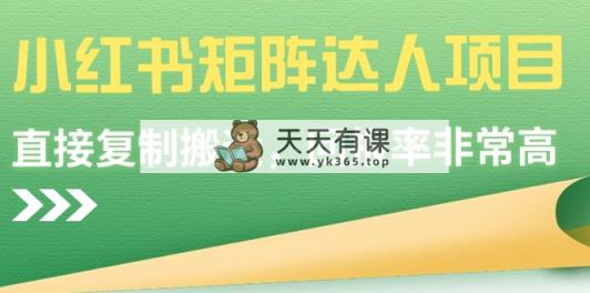 小红书的引流矩阵大咖新项目，直接复制运送，收益率非常高-天天有课网