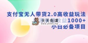 支付宝钱包没有人卖货2.0高回报游戏玩法，亲自测试单日盈利1000 ，新手必不可少新项目-天天有课网