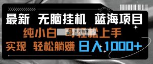 全新没脑子放置挂机蓝海项目 纯小白易操作 简单轻松 有手就行 没脑子躺着赚钱 日入1000-天天有课网