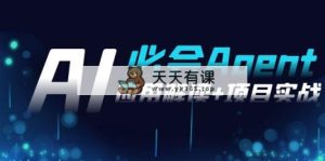 2024Ai定会 Agent(运用讲解 项目实践)，一站式解决Agent运用-天天有课网