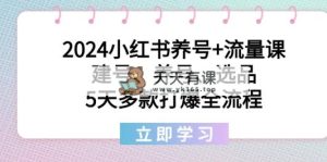 2024小红书的起号 总流量课：创号、起号、选款，5天几款打穿全过程-天天有课网