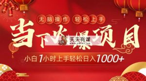 时下受欢迎新项目，使用方便，新手只需1钟头快速上手日入1000-天天有课网