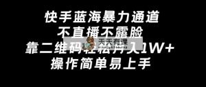 快手蓝海暴力通道，不直播不露脸，靠二维码轻松月入1W+，操作简单易上手-天天有课网