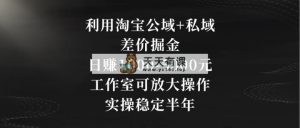 运用淘宝网公域流量 公域价格差掘金队，日赚1000-5000元，个人工作室可变大实际操作，实际操作…-天天有课网