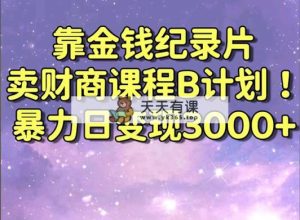 靠钱财纪实片卖财商课程B方案！暴力行为日转现3000 ，喂食式干货知识实例教程！-天天有课网