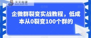企微群裂变实战教程，低成本从0裂变100个群的-天天有课网