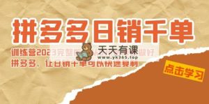 拼多多平台日销千单夏令营2023完整篇，从0逐渐陪你搞好拼多多平台，让日销千单可…-天天有课网