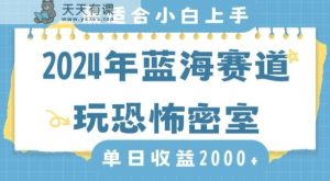 2024年蓝海赛道玩恐怖密室日入2000+，无需露脸，不要担心不会玩游戏，小白直接上手，保姆式教学【揭秘】-天天有课网