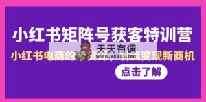 小红书的-矩阵账号拓客夏令营-第10期，小红书电商的卖货课，引流变现商机-天天有课网