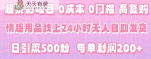 超暴利项目，情趣用品线上24小时-无人自助发货，0成本，0门槛，高复购-天天有课网