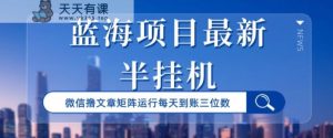 蓝海项目最新半挂机微信文章矩阵运行每天到账三位数-天天有课网