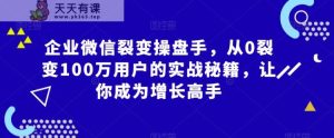 企业微信裂变操盘手，从0裂变100万用户的实战秘籍，让你成为增长高手-天天有课网