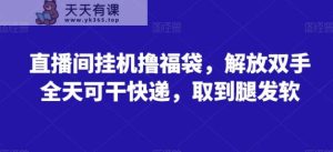 直播间挂机撸福袋，解放双手全天可干快递，取到腿发软-天天有课网