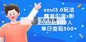 soul3.0游戏玩法精准引流方法s粉，日加200人单日转现500-天天有课网