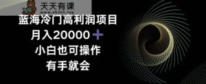 蓝海冷门高利润项目月入2000,小白也可操作有手就会-天天有课网