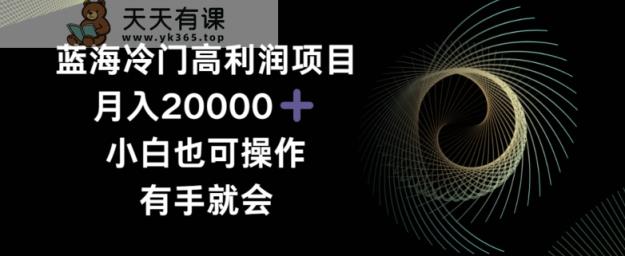 蓝海冷门高利润项目月入2000，小白也可操作有手就会-天天有课网