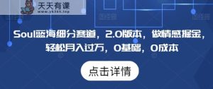 Soul蓝海细分赛道，2.0版本，做情感掘金，轻松月入过万，0基础，0成本-天天有课网