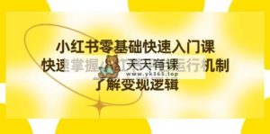 小红书的0根本快速上手课，快速上手小红书运作模式，掌握转现逻辑性-天天有课网