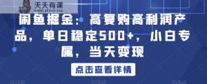 闲鱼掘金：高复购高利润产品，单日稳定500+，小白专属，当天变现-天天有课网