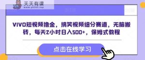 VIVO短视频撸金，搞笑视频细分赛道，无脑搬砖，每天2小时日入500+，保姆式教程-天天有课网