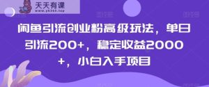 闲鱼引流创业粉高级玩法，单日引流200+，稳定收益2000+，小白入手项目-天天有课网