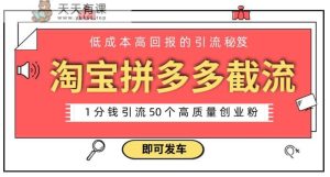 淘宝拼多多电商平台截流创业粉，只需要花上1分钱，长尾流量至少给你引流50粉-天天有课网