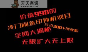 闲鱼流量印钞机项目大揭秘，日引300+创业粉，保姆级实操教程-天天有课网