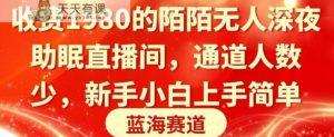 收费1980的陌陌无人深夜助眠直播间,通道人数少,新手小白上手简单-天天有课网