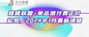 臻曦联盟-单品微付费正价起号,2024年1月最新课程-天天有课网