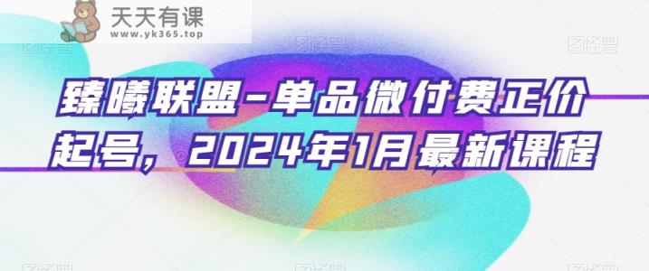 臻曦联盟-单品微付费正价起号，2024年1月最新课程-天天有课网