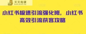小红书极速引流强化班,小红书高效引流获客攻略-天天有课网