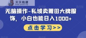 无脑操作-私域卖莆田大牌服饰，小白也能日入1000+-天天有课网