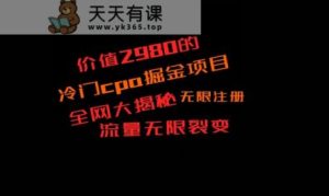 价值2980的CPA掘金项目大揭秘，号称当天收益200+，不见收益包赔双倍-天天有课网