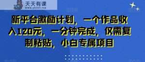 新平台激励计划，一个作品收入120元，一分钟完成，仅需复制粘贴，小白专属项目【揭秘】-天天有课网