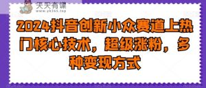 2024抖音创新小众赛道上热门核心技术，超级涨粉，多种变现方式【揭秘】-天天有课网