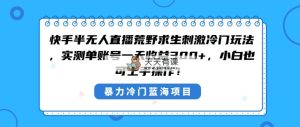 快手视频半无人直播荒野生存刺激性小众游戏玩法，评测单账户一天盈利300 ，新手也…-天天有课网