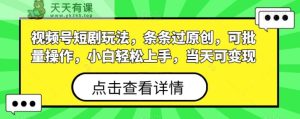 视频号短剧玩法，条条过原创，可批量操作，小白轻松上手，当天可变现-天天有课网