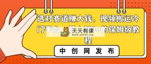 选好跑道挣大钱，视频搬运小众服务平台，日入500 的阿姨级实例教程-天天有课网