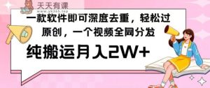 一款软件深度去重，轻松过原创，一个视频全网分发，纯搬运月入2W+-天天有课网