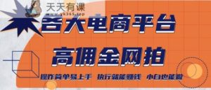 各大电商平台高佣金网拍，操作简单易上手，执行就能赚钱，小白也能做-天天有课网