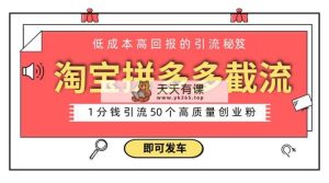 淘宝拼多多电子商务平台截留自主创业粉 只需要花上1一分钱，长尾流量最少让你引流方法50粉-天天有课网