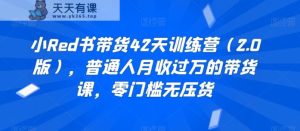 小Red书带货42天训练营，普通人月收过万的带货课，零门槛无压货-天天有课网